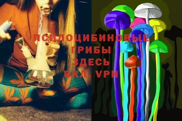 Альфа ПВП Семёнов