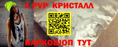 кокс Кингисепп