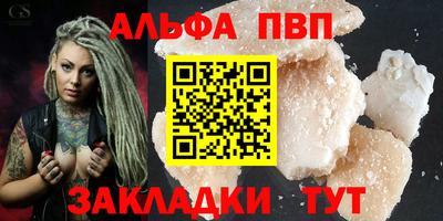 кокс Кингисепп
