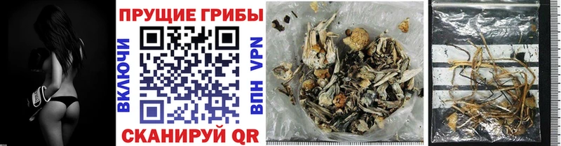 это Telegram Саянск Псилоцибиновые грибы MAGIC MUSHROOMS