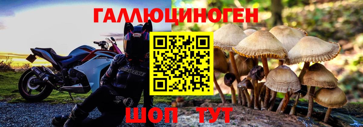 Галлюциногенные грибы мухоморы Саянск