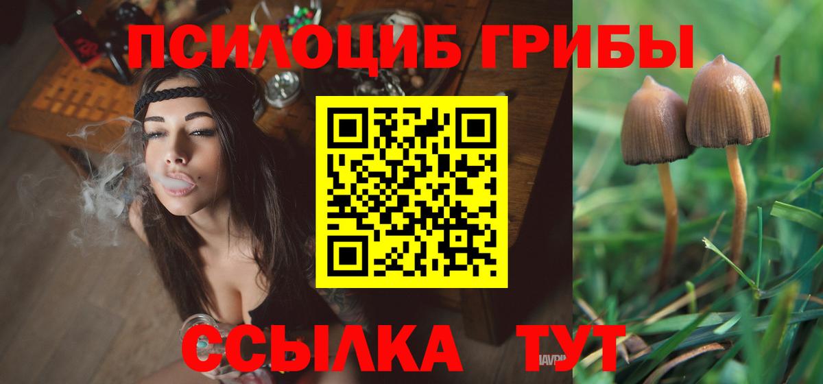 Псилоцибиновые грибы Psilocybe  Вход с VPN  Саянск 