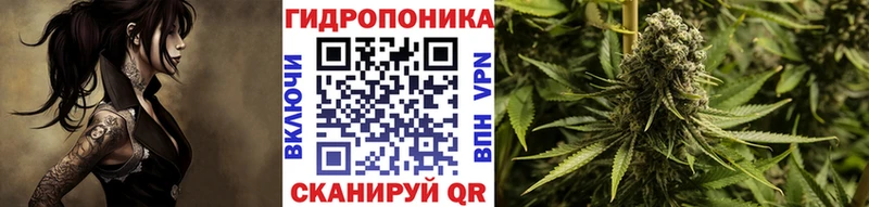 Шишки марихуана семена  Саянск 